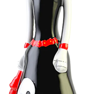 Dona Celia Tequila Reposado (100mL)